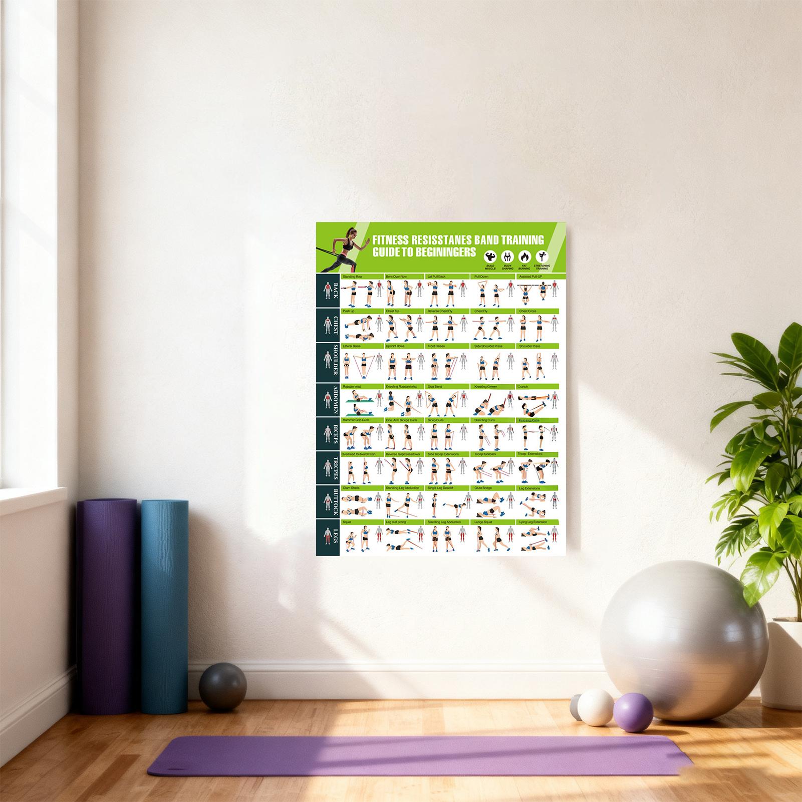 Workout Posters with Resistanc - đánh giá và giá Sports Equipment Poster