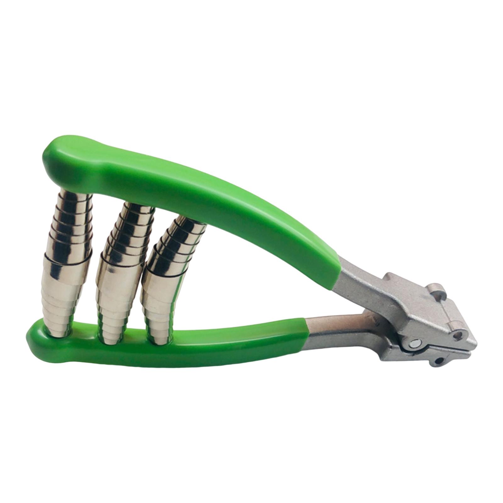 Sports Starting Clamp Badminto - đánh giá và giá Sports Equipment That Starts With A