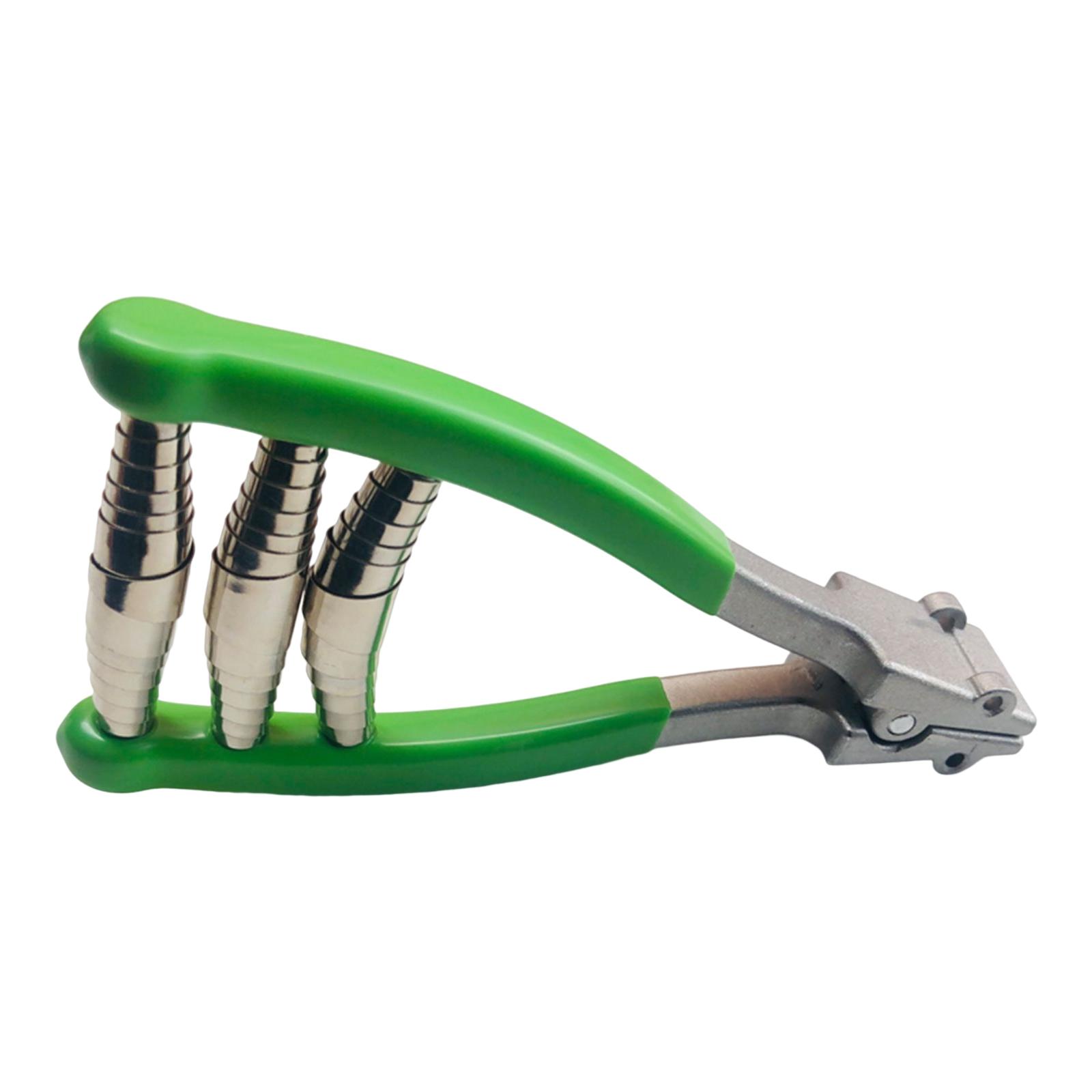 Sports Starting Clamp Badminto - đánh giá và giá Sports Equipment That Starts With A