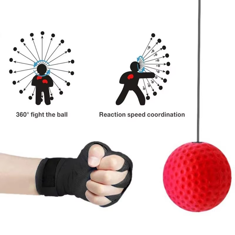Boxing Speed Ball Head-Mounted - đánh giá và giá Sports Equipment Meaning